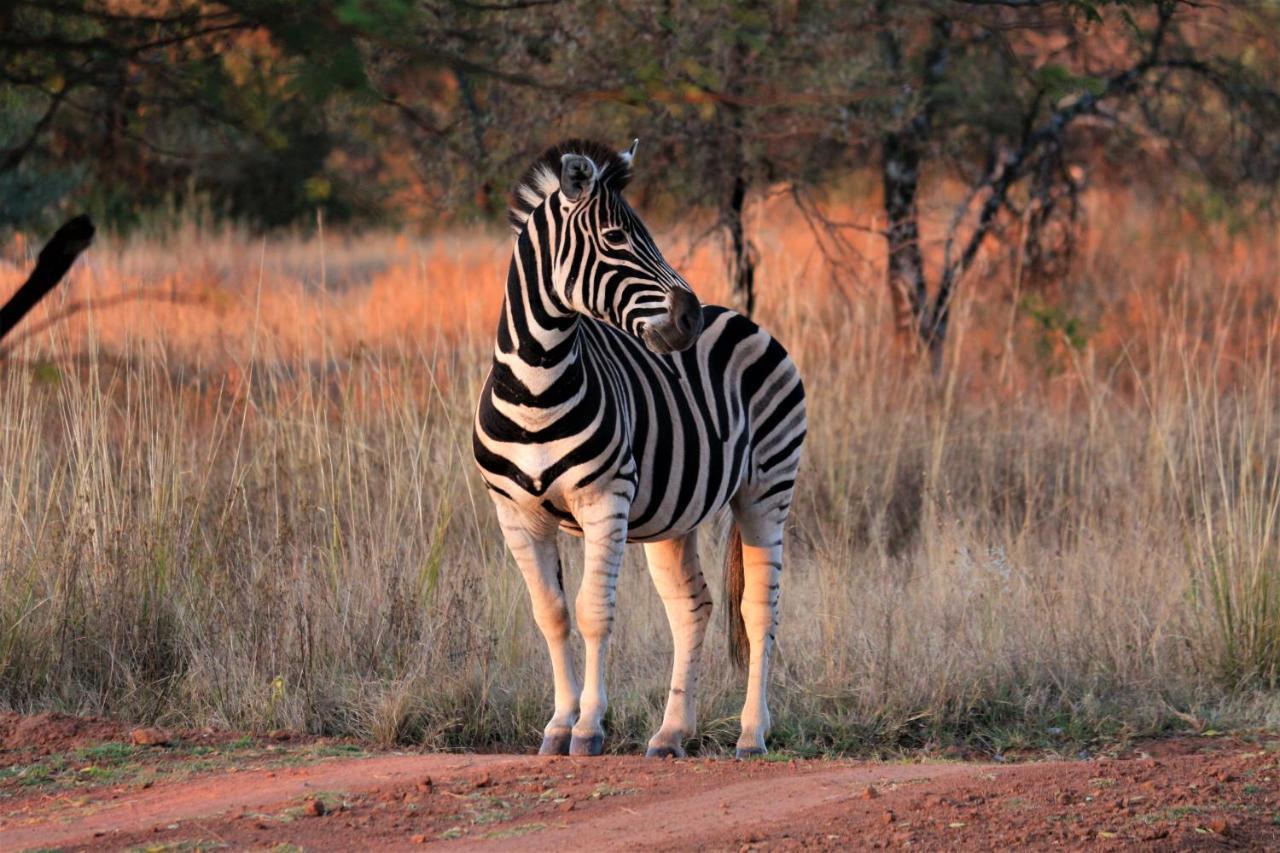 Bass Lake Country Lodge Pretoria-Noord Dış mekan fotoğraf